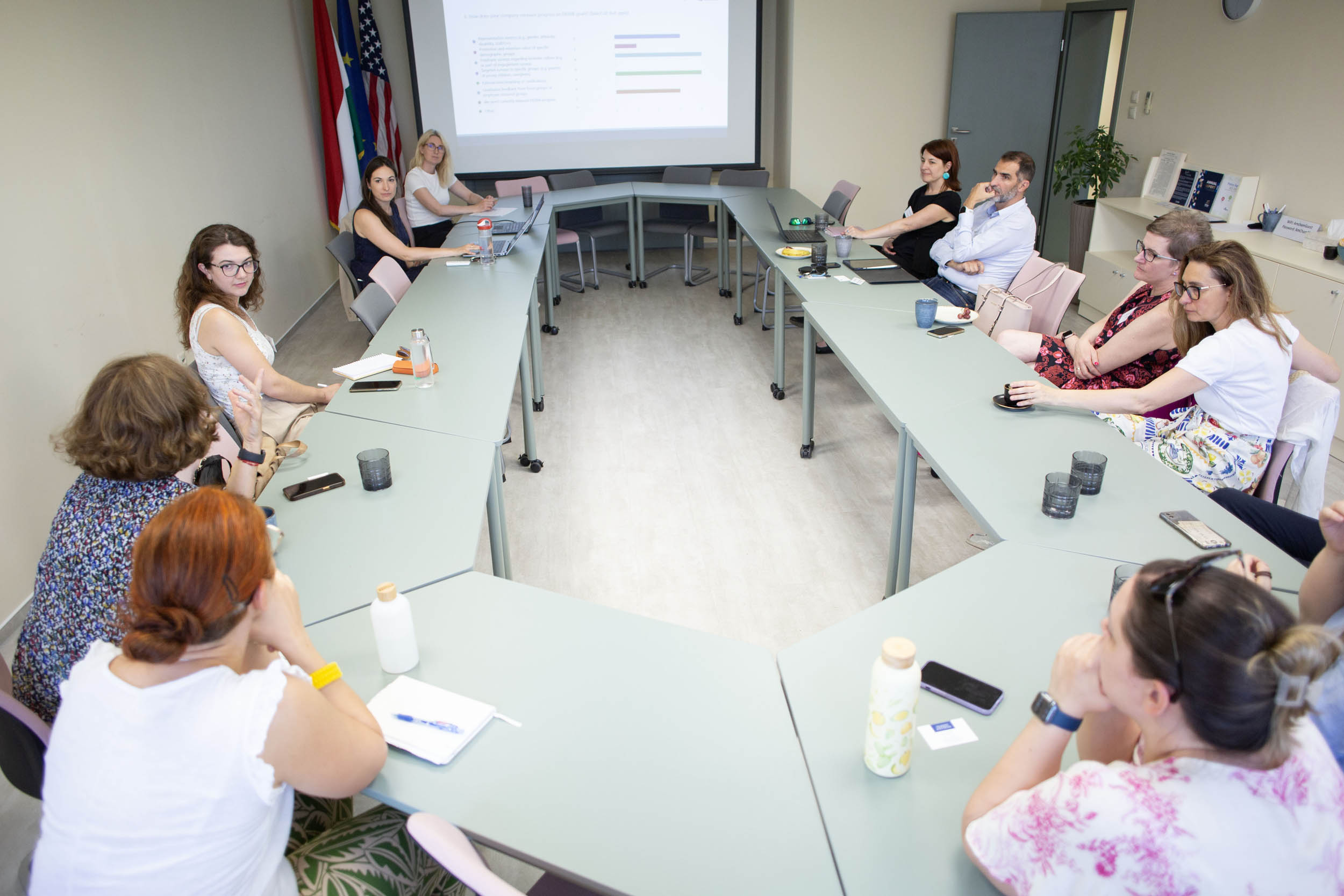 DEI_meeting
