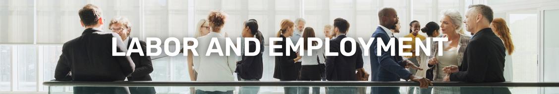LABOR EMPLOYMENT