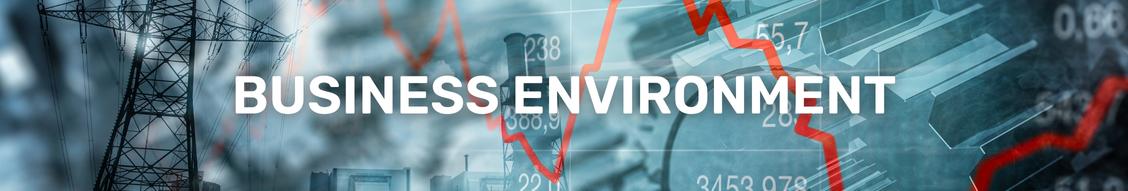 BUSINESS ENVIRONMENT