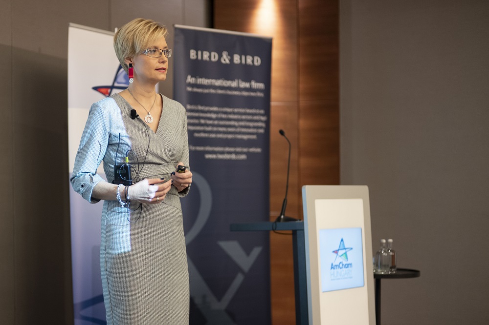 New FVP Edit Bencsik