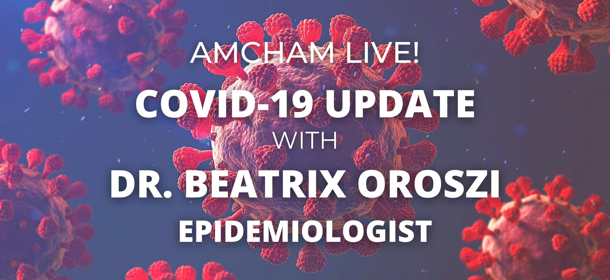 AmCham Live! COVID 19 update