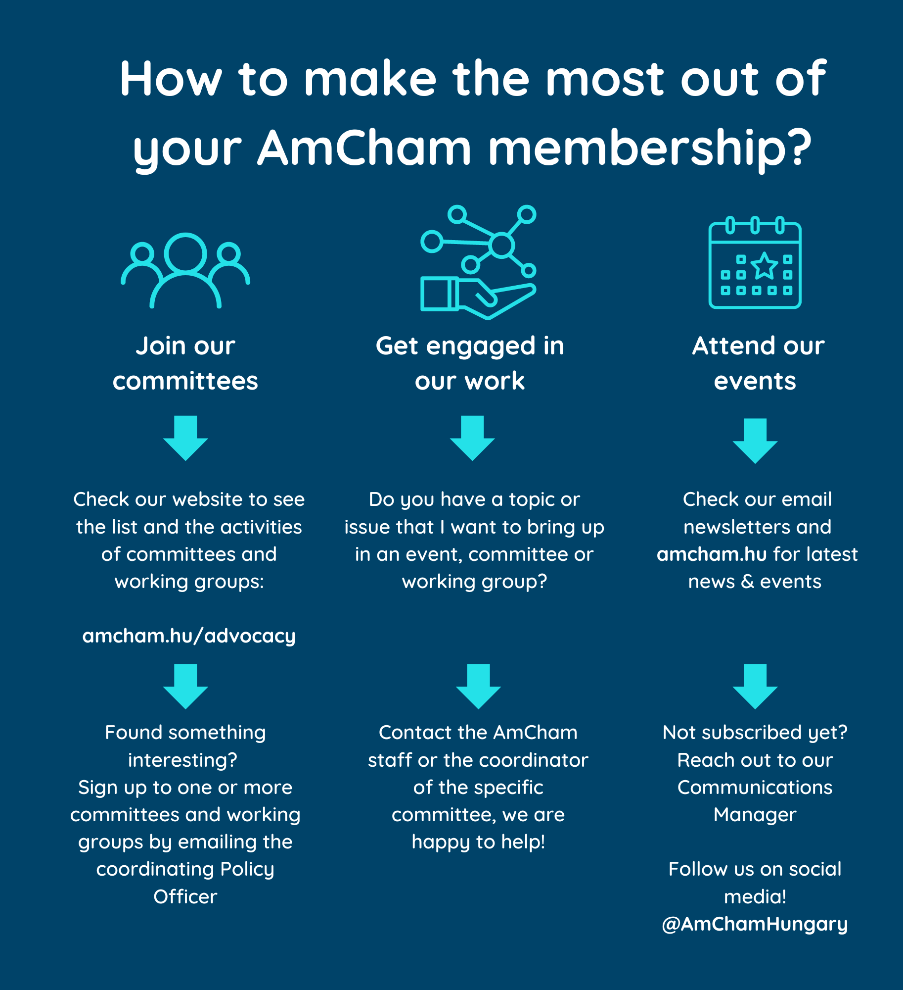 how to make the most out of your AmCham membership