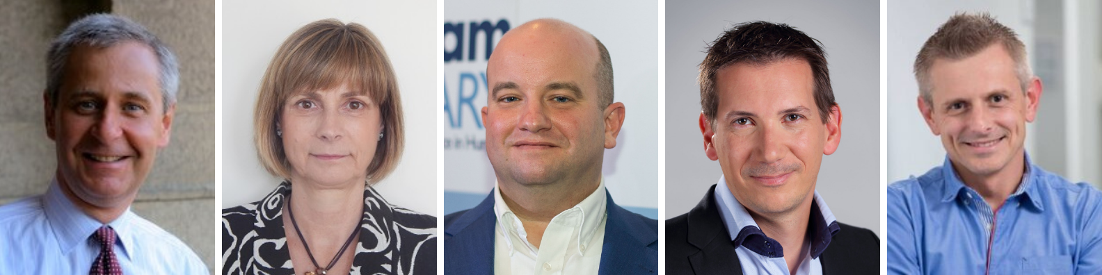 amcham committee chairs