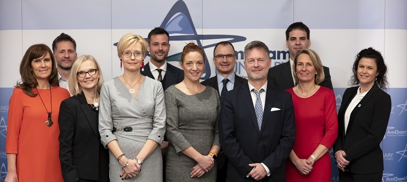 the new amcham board