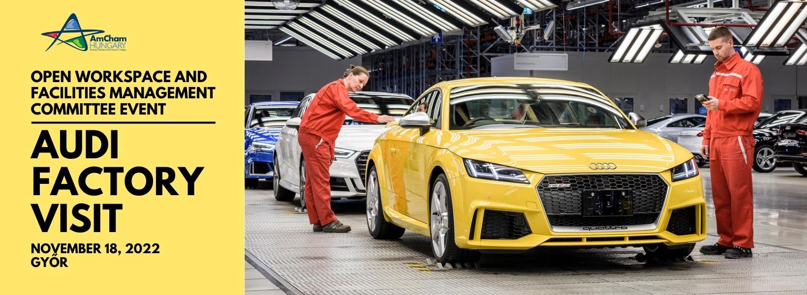 AUDI factory visit - WFM committee meeting